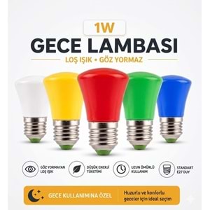 RBR GECE AMPULU