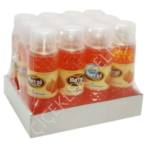 HAYAT 200ML TÜTÜN KOLONYASI