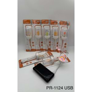 PRİNCO PR-1124 USB LAMBA