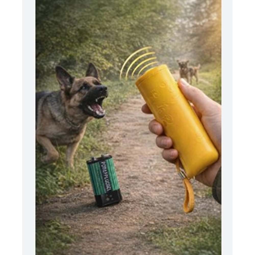 KÖPEK KAÇIRAN FENER