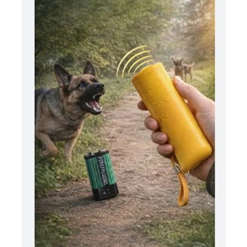 KÖPEK KAÇIRAN FENER